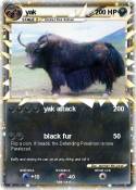 yak