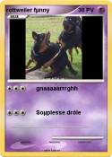 rottweiler fµnn