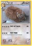 fat cat