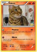 Pokoro