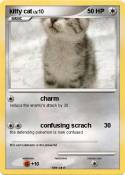 kitty cat