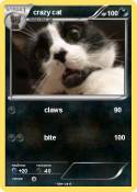 crazy cat