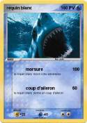 requin blanc