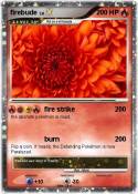 firebude
