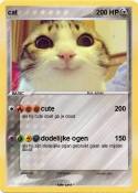 cat