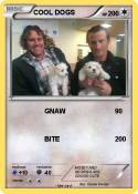 COOL DOGS