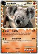 tree koala