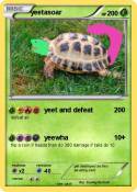 yeetasoar