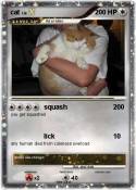 cat