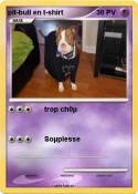 pit-bull en