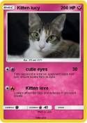 Kitten lucy