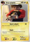 Tony schaefer