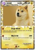 DOGE lvl.EX