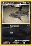 sleeping cat