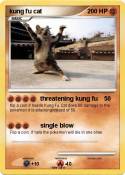 kung fu cat