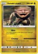 Donald Lizard