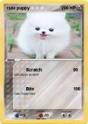 cute puppy