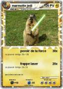 marmotte jedi