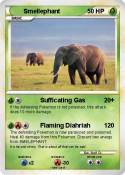 Smellephant