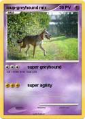 loup-greyhound