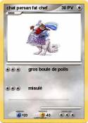 chat persan fat