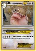 Kangaroo rat