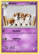 4th pups