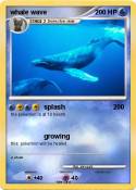 whale wave