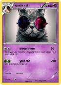 space cat