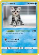 cute cat