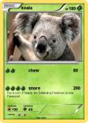 koala