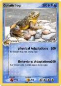 Goliath frog