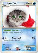 Santa Cat