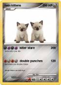 twin kittens