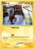 kitten ex