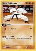 Kung Fu Monkey