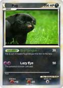 Pug