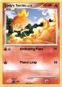 Cody's Torchic