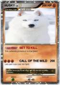 HUSKY