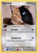 Ying Yang