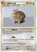Muffin Cat