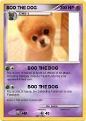 BOO THE DOG