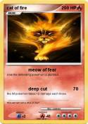 cat of fire