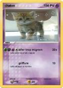 chaton