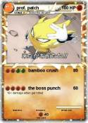 prof. patch