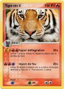 Tigre niv X