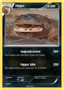 Hippo