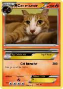 Cat master