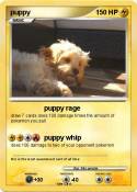puppy