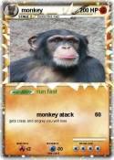 monkey
